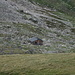 The emergency hut at the Scaletta pass.