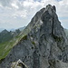 Am Ziel: Blick zurück vom Gipfel des Capucin zum Ruth E-Grat. Links Les Pucelles, Corne Aubert und Dent de Combette