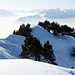 Stockhorn oberhalb des Nebelmeeres