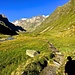 Der nun schon Bekannte Weg entlang des Alpeiner Baches zum Höllenrachen