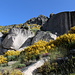 Im Aufstieg vom Covão d'Ametade zum Cântaro Gordo - Immer wieder geht's an schönen Felsblöcken vorbei.