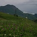 Aussicht auf den Гора Хиах (Gora Khiakh; 2770,8m) vom 1791m hohen Pass zwischen den Dörfern Кармадон (Karmadon) und Даргавс (Dargaus).