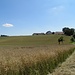 Blick auf Schauerschorn