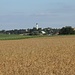 sommerliche Felder