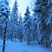 Abstieg nach Norden: das GPS weist uns unmißverständlich den Weg durch den malerischen Winterwald.