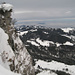 Kurz unterhalb des Gipfels des Gross Aubrig