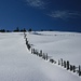 der Schnee glitzert kurz vor der Borgleshütte