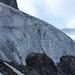 Die Jahrringe des unterhalb des Pigne gelegenen Teils des Moiry-Gletschers