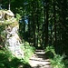 Karrenweg im Bergwald