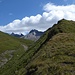 Formenvielfalt