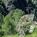 Croce dell'alpe
