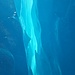 In der Eisgrotte. Gletscherspalte im inneren des Gletschers