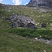 Alpe Quarnei