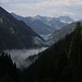 Nebel im Ammerwald / nebbia a valle