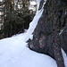 Aufstieg Richtung Ergischhorn (P.1800m) Hier noch markiert. Später verlor ich den Faden (Weg).