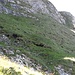 Ganz rechts am Rand die Grasrampe, die den Durchstieg zum Gipfelgrat ermöglicht.