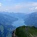Gipfelblick vom Alvier über den fjordartigen Walensee