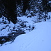 im schattigen Höhenbachtal