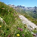 Der Höhenweg von der Keschhütte zum Scalettapass