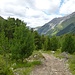 Der Weg im Val Tuors - ganz oben links ist die Keschhütte zu erahnen
