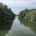 alter Rhein bei Rheineck