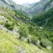 im Tal der "La Lizerne" (so heisst der Fluss)