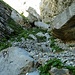 in der Schlucht