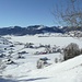 Blick zurück auf Willerzell
