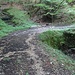 Gleich nach Eintritt in den Wald zweige ich nach rechts ab.