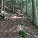 Und so geht's weiter auf den Rücken hinauf.