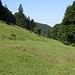 Auf der Wiese bei Schwang.