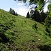 Abstieg von Müren.