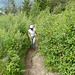 Durch Buschland
