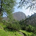 Blick vom unteren Abschnitt durch den Nadelwald auf die gewaltigen Felstürme des Calanda-Massivs