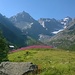 Alpe Ventina panoramica.