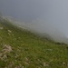 im Mix- Gelände, Fels und Gras, hinter dem Nebel der Ostgipfel