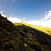 La punta della Lògia vista dall'Alpe di Pozzo