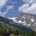 Monte Disgrazia von Preda Rossa
