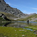 Small lake at the Grialetsch hut.