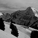 Blick über die Alp Stockberg auf den Lütispitz