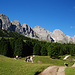 Rückweg zum Col Raiser