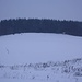 Kurz hinter dem Juozapinės kalnas (292,70m) zeigt sich der höchste Punkt von Litauen. Etwas rechts ist die Gipfeltafel vom Aukštojas / Aukštasis kalnas (293,84m) zu sehen, in der Mitte der Gipfelstein auf dem höchsten Punkt am Waldrand.