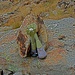 Alpha und Omega <br /><br />Sie liebten und sie hassten sich.<br />[https://www.youtube.com/watch?v=2EdLasOrG6c]