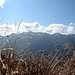 High Noon<br /><br />(Mittag)