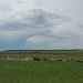 Landschaft auf dem Weg von Burgos nach Hontanas