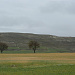 Landschaft auf dem Weg von Hontanas nach Boadilla del Camino
