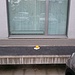 (88) Raiffeisenbank in Zimikon, Volketswil, Kanton Zürich. Eine Bank vor einer Bank. 
Von der Bank aus hat man die Wahl zwischen zwei Aussichten, je nach dem, wie man sich draufsetzt. Hier Ausblick A
BANK 29 und GELDINSTITUT 3 von: [u iuturna] 
