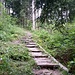 Verhangener Start in Jaun