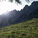 Morgenidylle