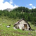 Alpe Tamia